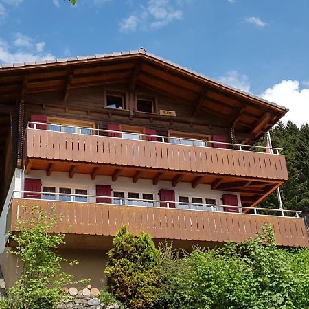 Chalet Blatti ハスリベルク エクステリア 写真
