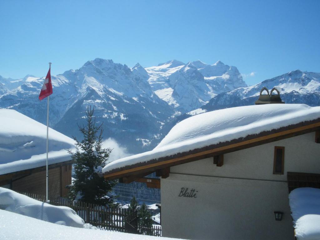 Chalet Blatti ハスリベルク エクステリア 写真