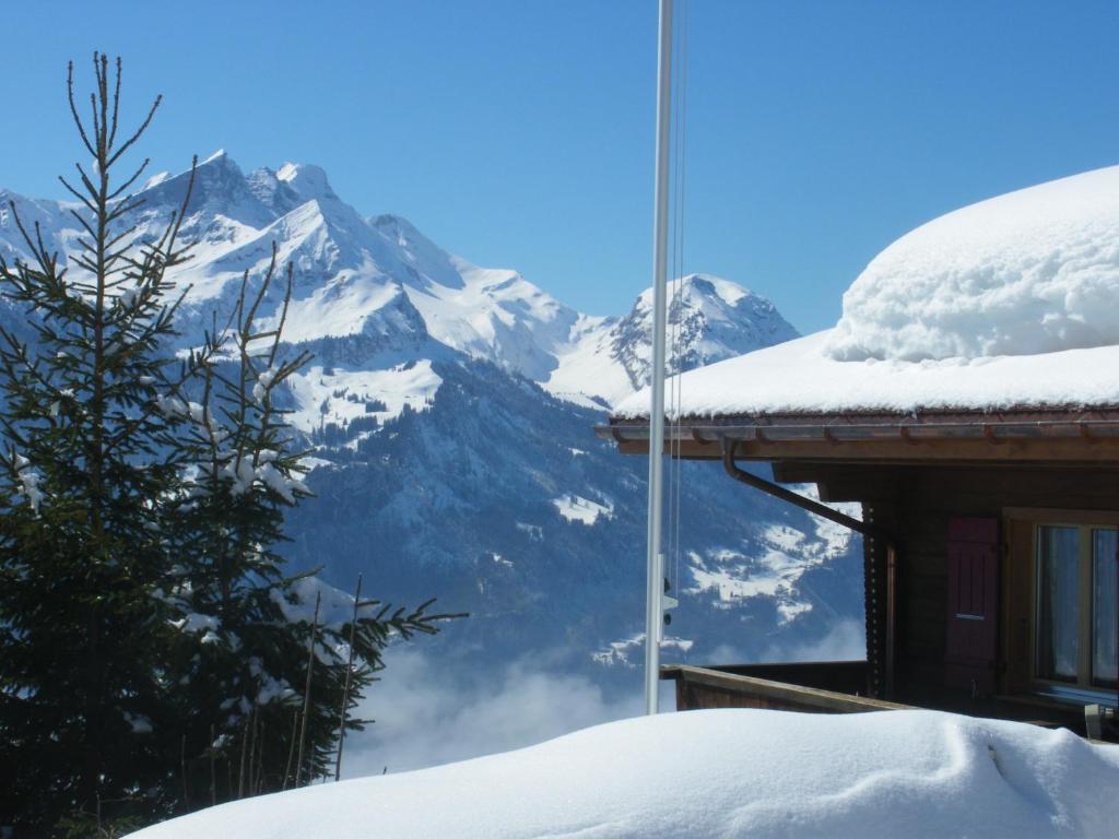 Chalet Blatti ハスリベルク エクステリア 写真